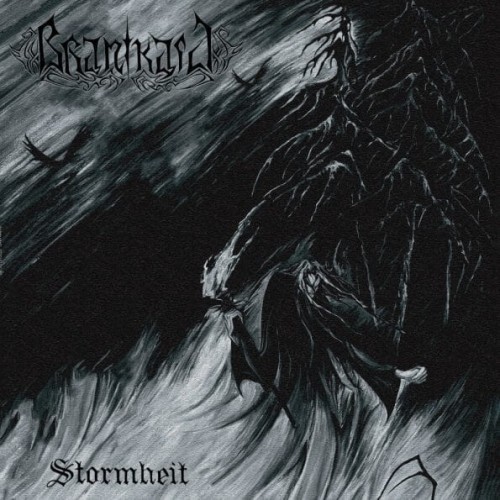 BRANIKALD-STORMHEIT-595x595.jpg