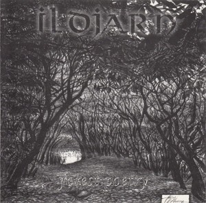 ILDJARN - Forest Poetry (2LP)