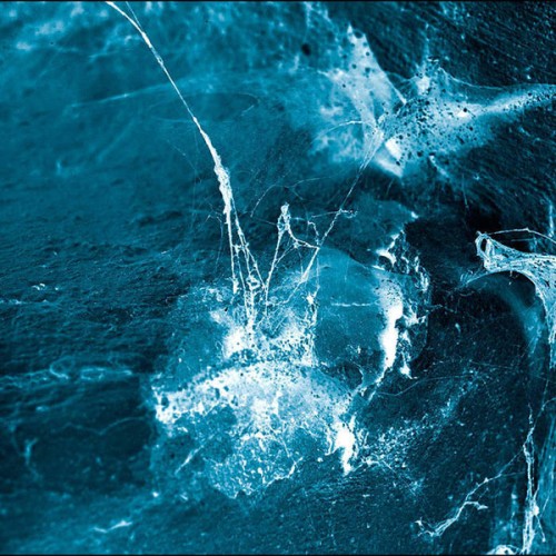 R-11948664-1525283441-5323.jpg