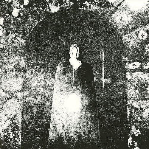 1241031.jpg