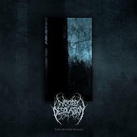 WOODS OF DESOLATION - Torn Beyond Reason (CD)