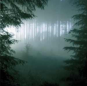 THY SERPENT - Forests Of Witchery (CD)
