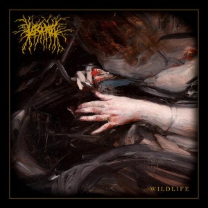 LASCAR - Wildlife (CD)