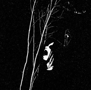 SANGUINE MYST - Upon Sylvan Thrones (7"EP)