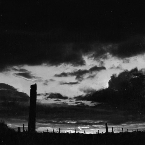 tornekrone-cover.jpg