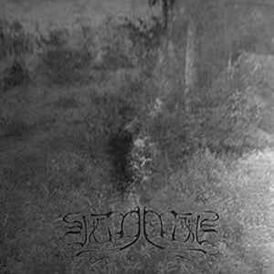 VEINELIIS -  Strained Movements Toward (LP)