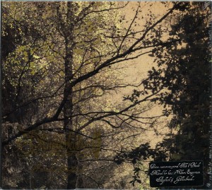 DAMMERFARBEN -  Herbstpfad (DigiCD)