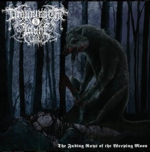 DROWNING THE LIGHT - The Fading Rays of the... (CD)