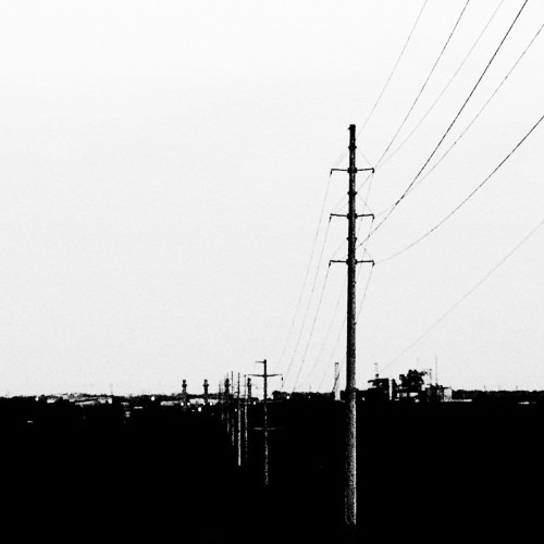 a4069935706_10.jpg